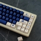 Holiday 104+25 PBT Dye-subbed Keycaps Set Cherry Profile for MX Switches Mechanical Gaming Keyboard